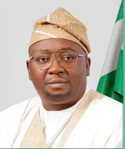 Nigeria's power sector